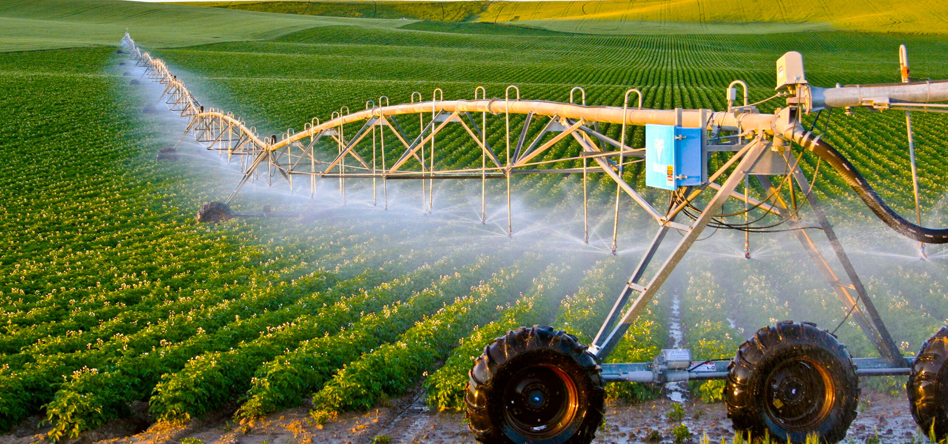 توفير حلول لوجستية ونقل مبرد