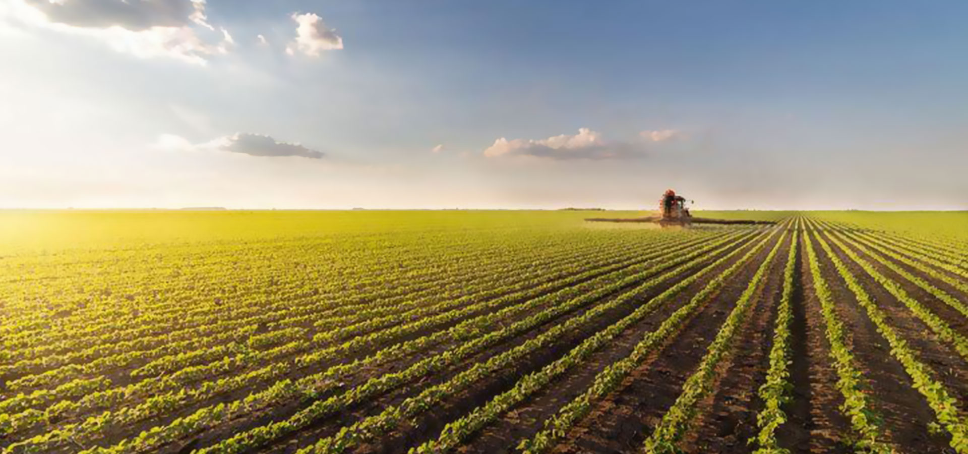 ربط سلاسل الإمداد بالأسواق