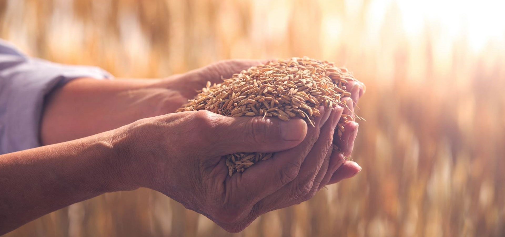 دعم وتمكين المزارعين