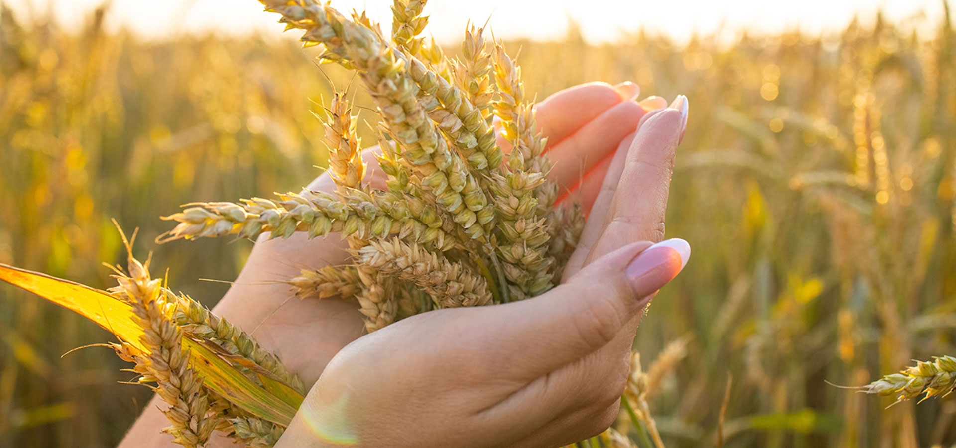 التحالف الوطني للجمعيات